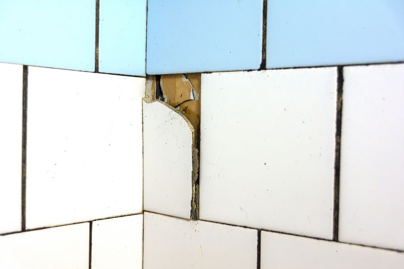 Shower and Tile Repair Solutions — Cost of Shower and Tile Repair